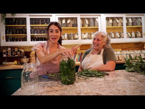Video: Controlul salatei sălbatice - Cum să scapi de salata verde sălbatică