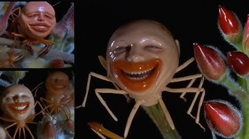 Fheyr Tern - Encrypto (Official Video)