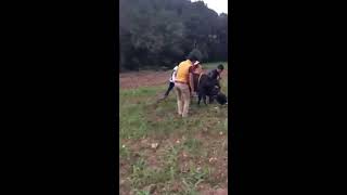 CAÑADA MORELOS UN DIA DE JUEGO