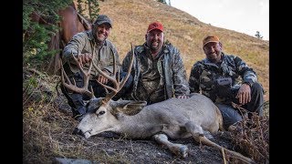Nontypical Mule Deer - Wyoming Backcountry