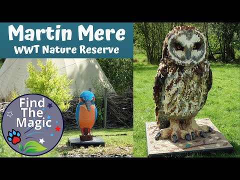 Martin Mere Wetland Centre 2020 | WWT Nature Reserve | Burscough Lancashire England UK | Lego Trail