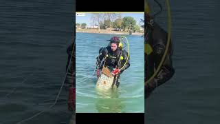 The Truth About Lost F Balls