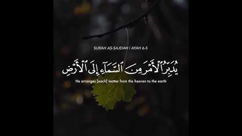 اسلام صبحي💗-ما تيسر من سورة السجده💗-اجمل حالات واتساب دينية💗