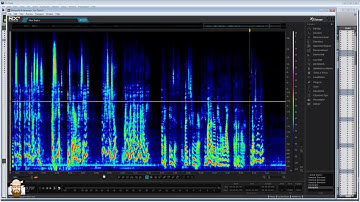 How To Edit Dialog For Film Using Pro Tools and Izotope - Part 04 RX4 Noise Control