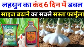 लहसुन का कंद मोटा करने का आसान उपाय | Lahsun ka kand kaise bada kare | Lahsun ka size kaise badhaye screenshot 1