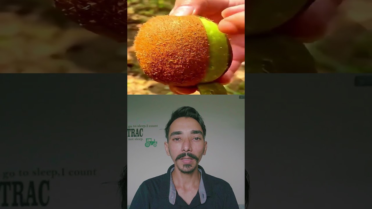 🌿 Best Home Remedies to Improve Appetite Naturally 