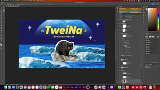 How to use TweiNa on Apple Silicon chips