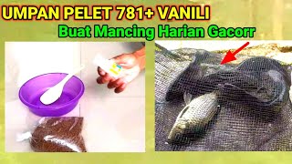 Tutorial bikin umpan bahan dasar pelet 781 + vanili/mancing harian ikan mas langsung tes gacor..