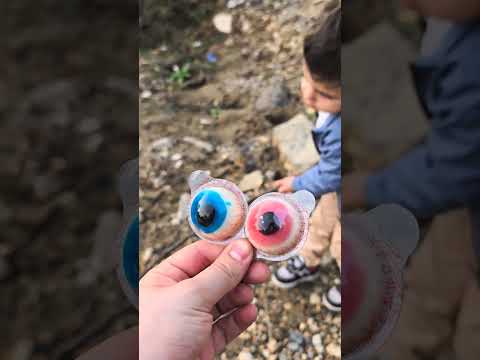 ياحتة من قلبي 