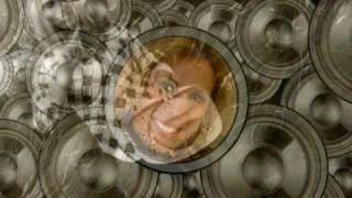 My Montage 10/7/08 screenshot 2