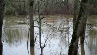Calapooia River Flood - Albany, Oregon - January 2012