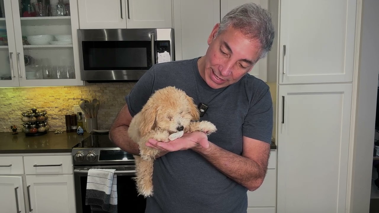 Small Rawhide Bones Big Pack Review & Unboxing