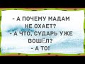 - А почему мадам не охает? Подборка веселых анекдотов! Приколы!