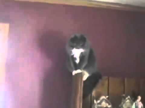 Get the fuck down from there pussy sex images