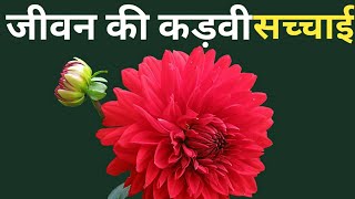 जीवन की कड़वी सच्चाई बताने वाले कुछ वाक्य || life changing quotes in Hindi screenshot 5