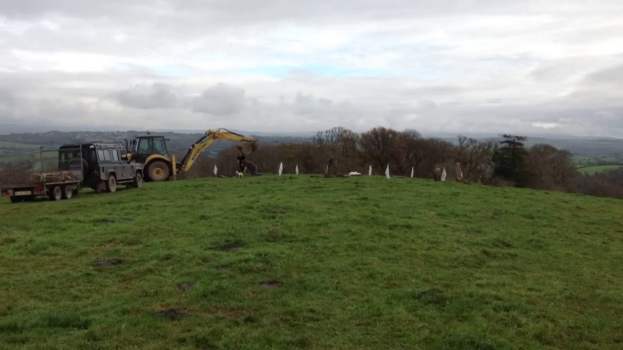 Construction of the 'Stone Circle' at Pentillie Castle