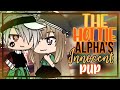 The hottie alphas innocent pupglmm gacha life mini movie 