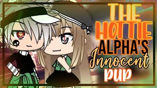 The Hottie Alphas Innocent Pupglmm Gacha Life Mini Movie 