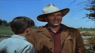 Thunderhead, Son of Flicka Preston Foster