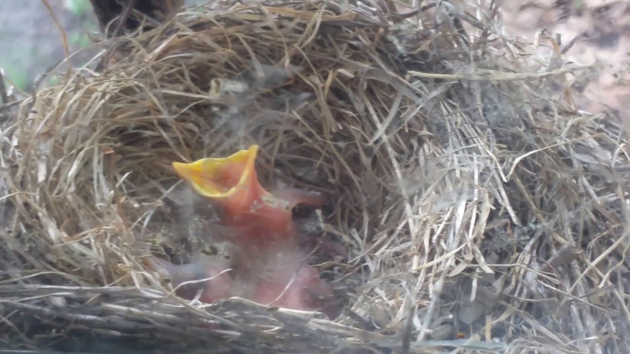 GOOD MORN'TING! NEW LIFE, NEW BEGINNINGS! plus size clothing