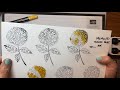 2022 Comparing Coloring Options