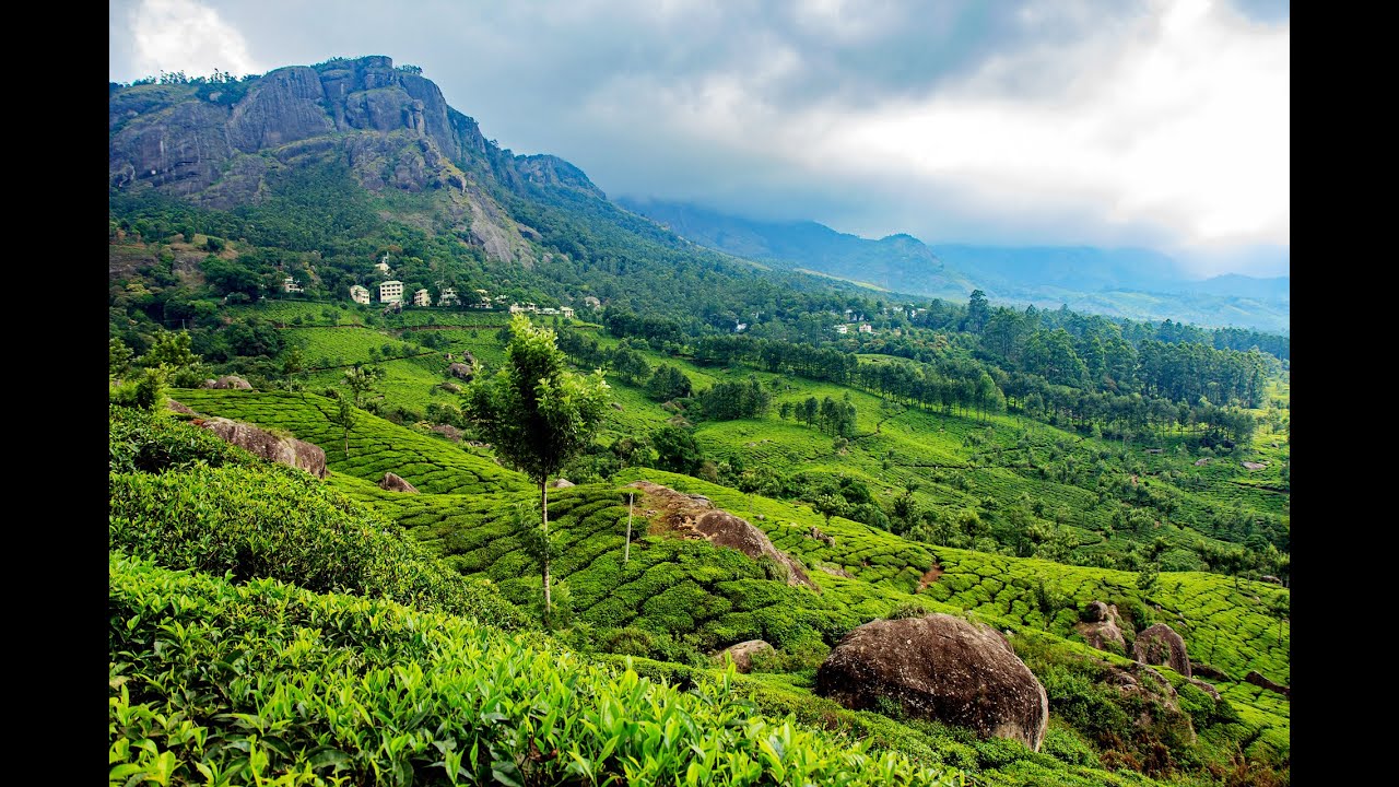 Munnar Exciting Tourist Places- Must Visit Munnar in Winter- Best