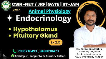 Hypothalamus | Pituitary Gland | Endocrinology | Animal Physiology | System Physiology  | Unit-7