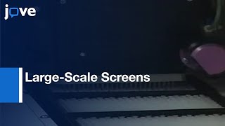 Large-Scale Screens Of Metagenomic Libraries l Protocol Preview