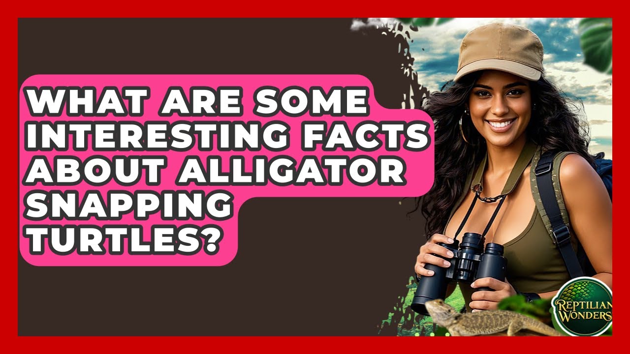 What Are Some Interesting Facts About Alligator Snapping Turtles? - Reptilian Wonders