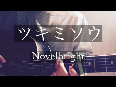 ツキミソウ/Novelbright 弾き語りcover