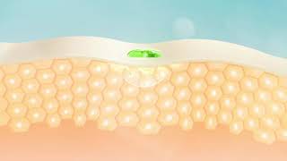 Atomy Skin Care 6 System screenshot 4