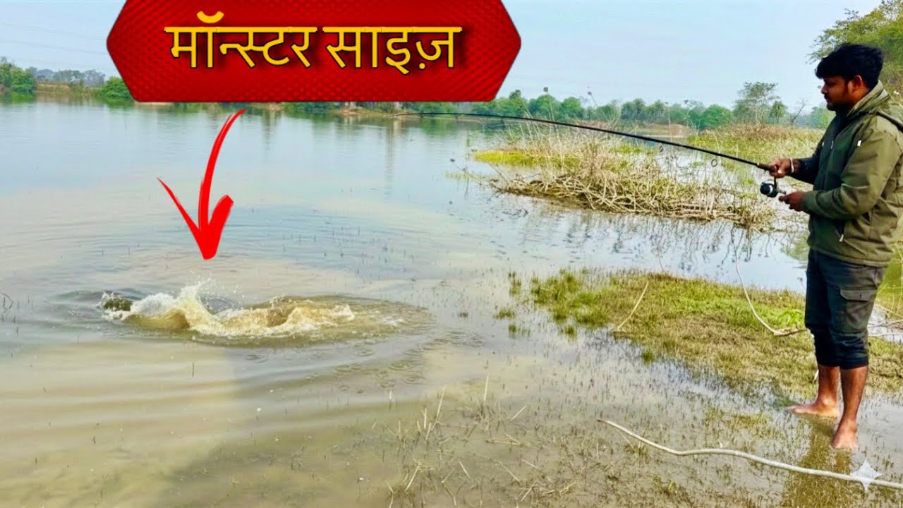 डैम में मॉन्स्टर साइज़ मछली पकड़ा | 4kg Big smakehead fish #snakeheadfishing #villagefishcatching 