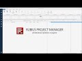 Система управления проектами Rubius Project Manager: вложенные проекты и задачи из проектов