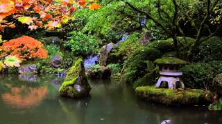 Heavenly Falls at the Portland Japanese Garden by Wayne Williams