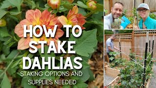 🌿 How to Stake Dahlias 🌿