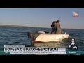 В Казахстане вступил в силу ежегодный весенний мораторий на рыбный промысел