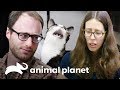 Homem prefere gato a própria namorada | Meu Gato Endiabrado | Animal Planet Brasil