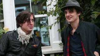 Pete Doherty New Love Grows on Trees