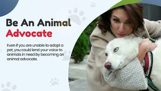 How to Support Animal Rescue When You Can’t Adopt a Pet