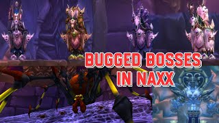 One of the worst patches on Classic WoW ever