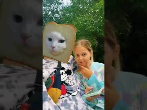 Котешки хляб #shorts