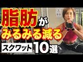 脂肪燃やすなら脚を鍛えて！おすすめスクワットはコレ！