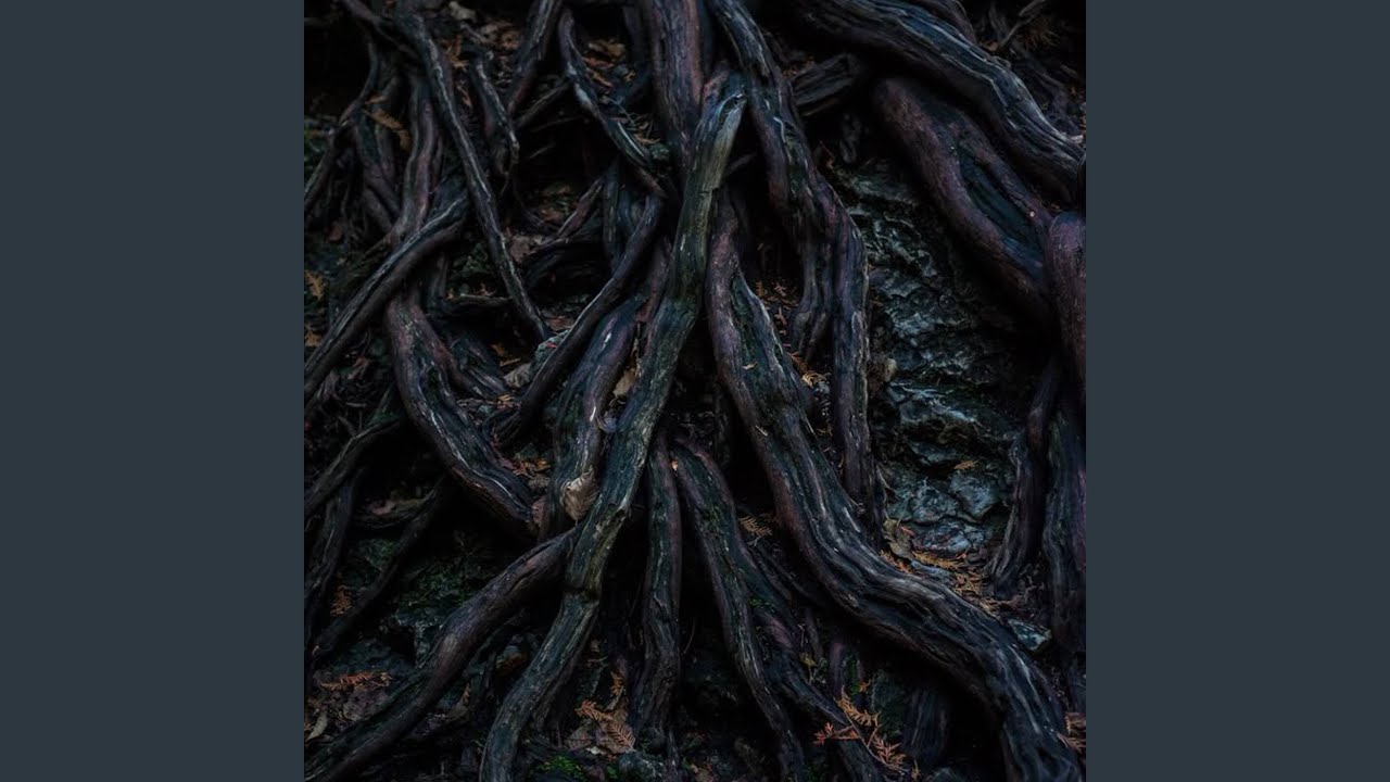 Watch Down We Go on YouTube Watch Down We Go on YouTube