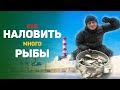 Зимняя рыбалка.  Активная рыбалка на фидер.