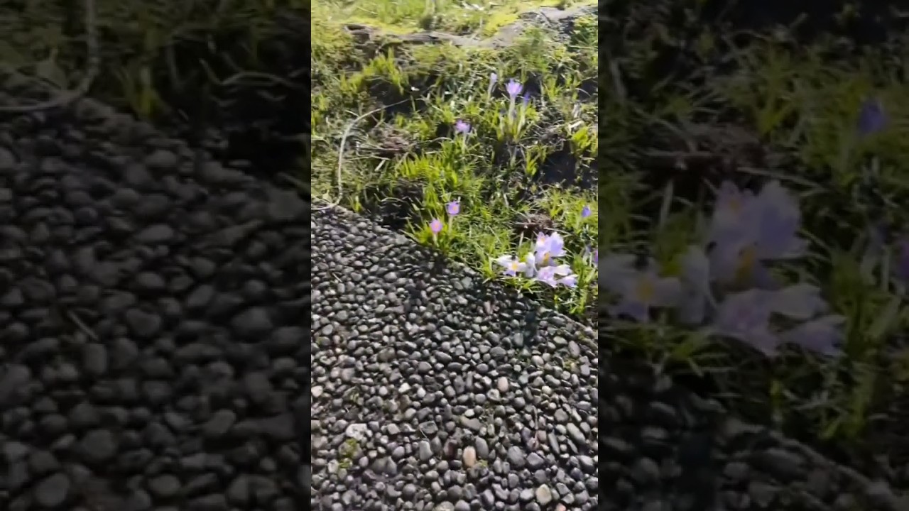 The end 😂😂😂 