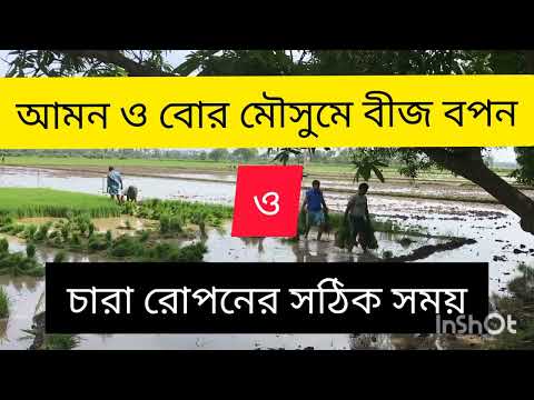 ভিডিও: কখন বপন করা হয়?