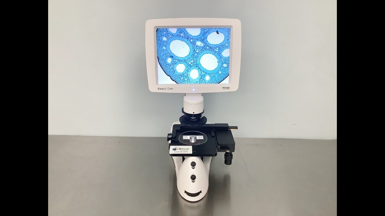 Thermo EVOS XL Core Imaging Microscope ID 28635