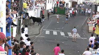 Tourada à corda in Vila das Lajes, Lajes, 7 October 2025