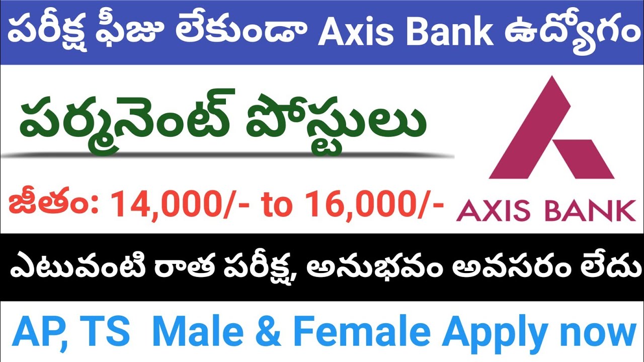 పరీక్ష ఫీజు లేకుండా Axis Bank ఉద్యోగం Axis Bank jobs Notification