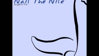 Future Disciple - Nail The Nile (Original Mix)